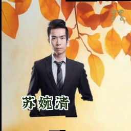 苏婉清